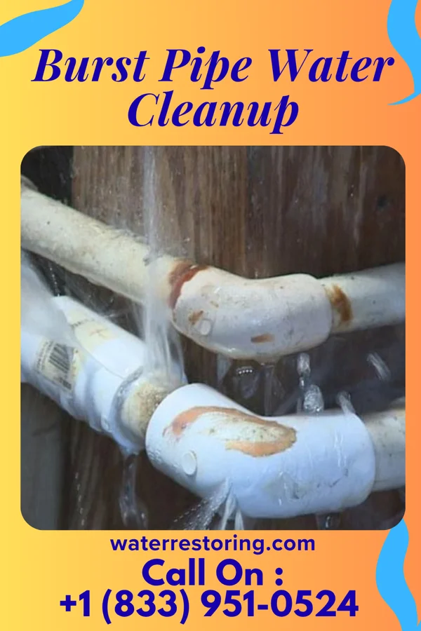 Burst Pipe Water Cleanup in Yatesville, GA