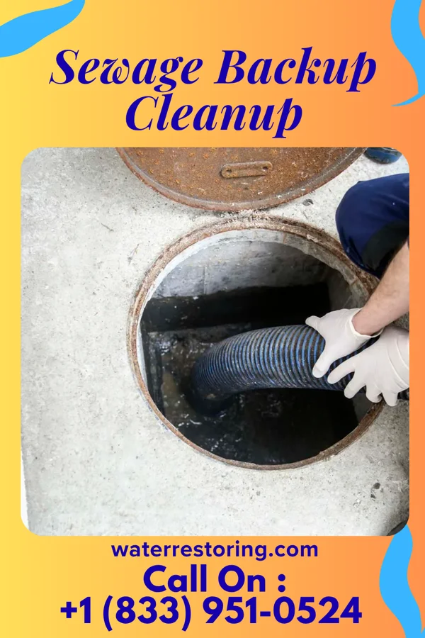 Sewage Backup Cleanup in Yatesville, GA