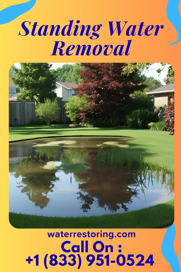 Standing Water Removal in Yatesville, GA